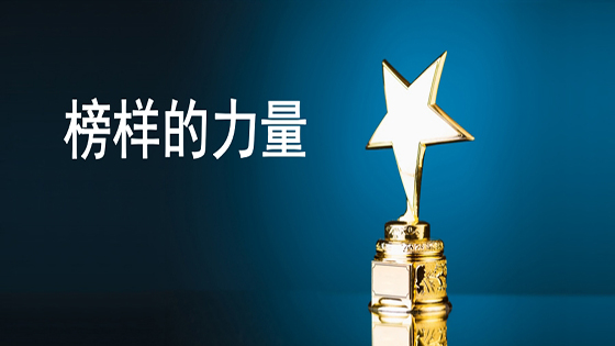 凝聚榜样力量 激发组织活力  ——ayx官网对2018年度优秀团队和员工进行表彰