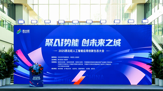 ayx官网出席2025西北旺人工智能应用创新生态大会，探索“AI+金融”深度融合