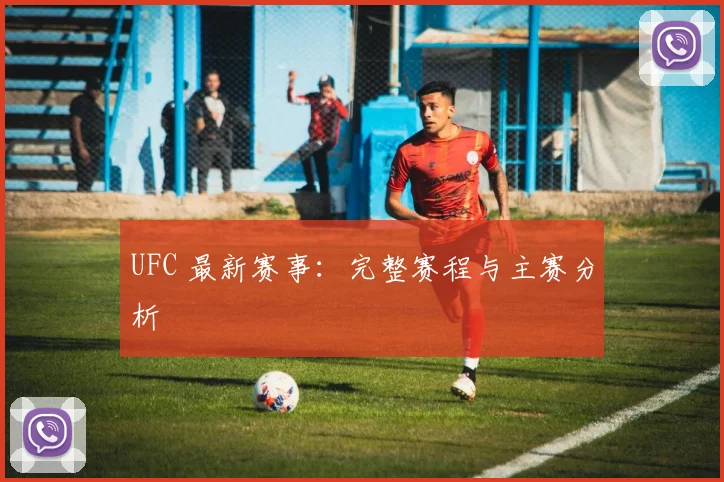 UFC 最新赛事：完整赛程与主赛分析